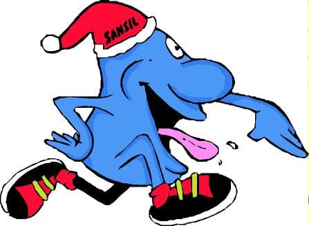 SAN SILVESTRE ARANDINA 2026